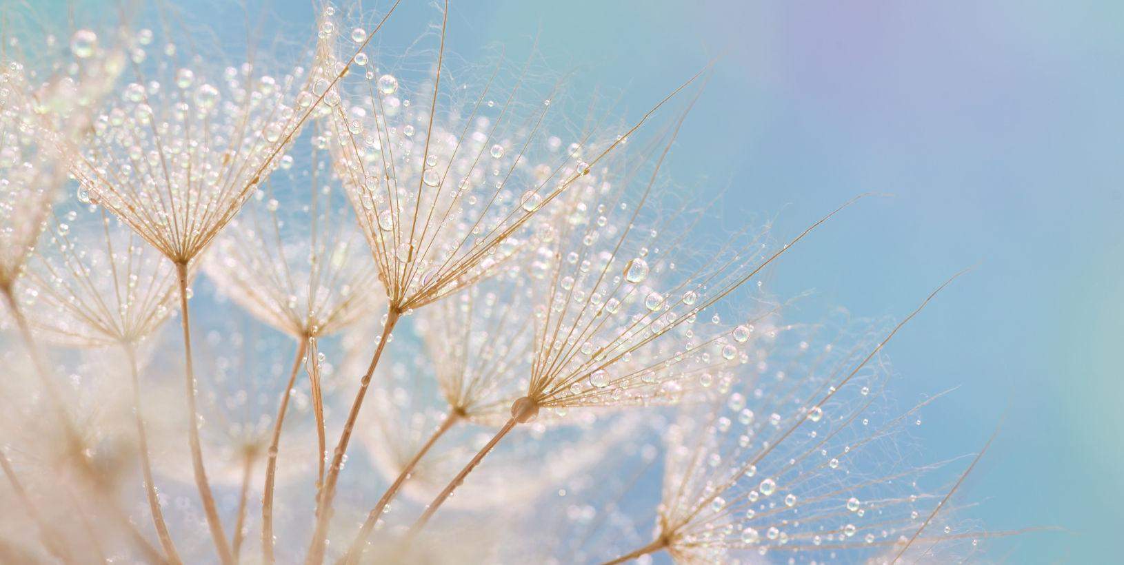 centrum transformacji tło